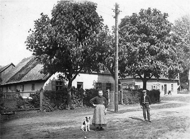 Bruesewitz.jpg (88255 Byte)