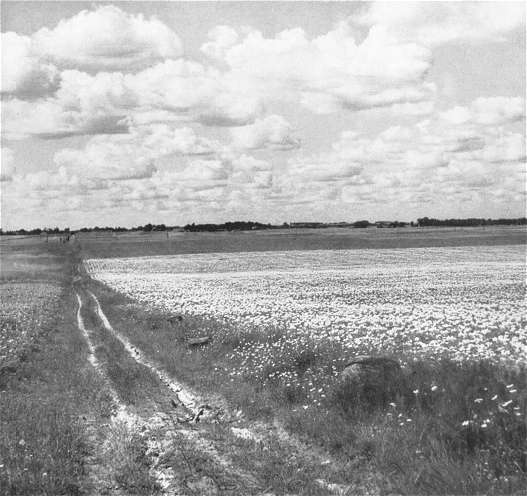 Pommern2.jpg (38444 Byte)