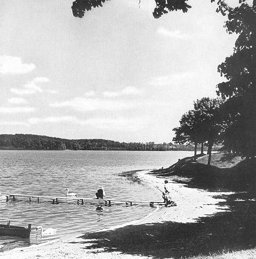 Pommern5.jpg (37137 Byte)