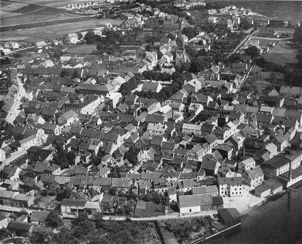 Regenwalde.jpg (62604 Byte)